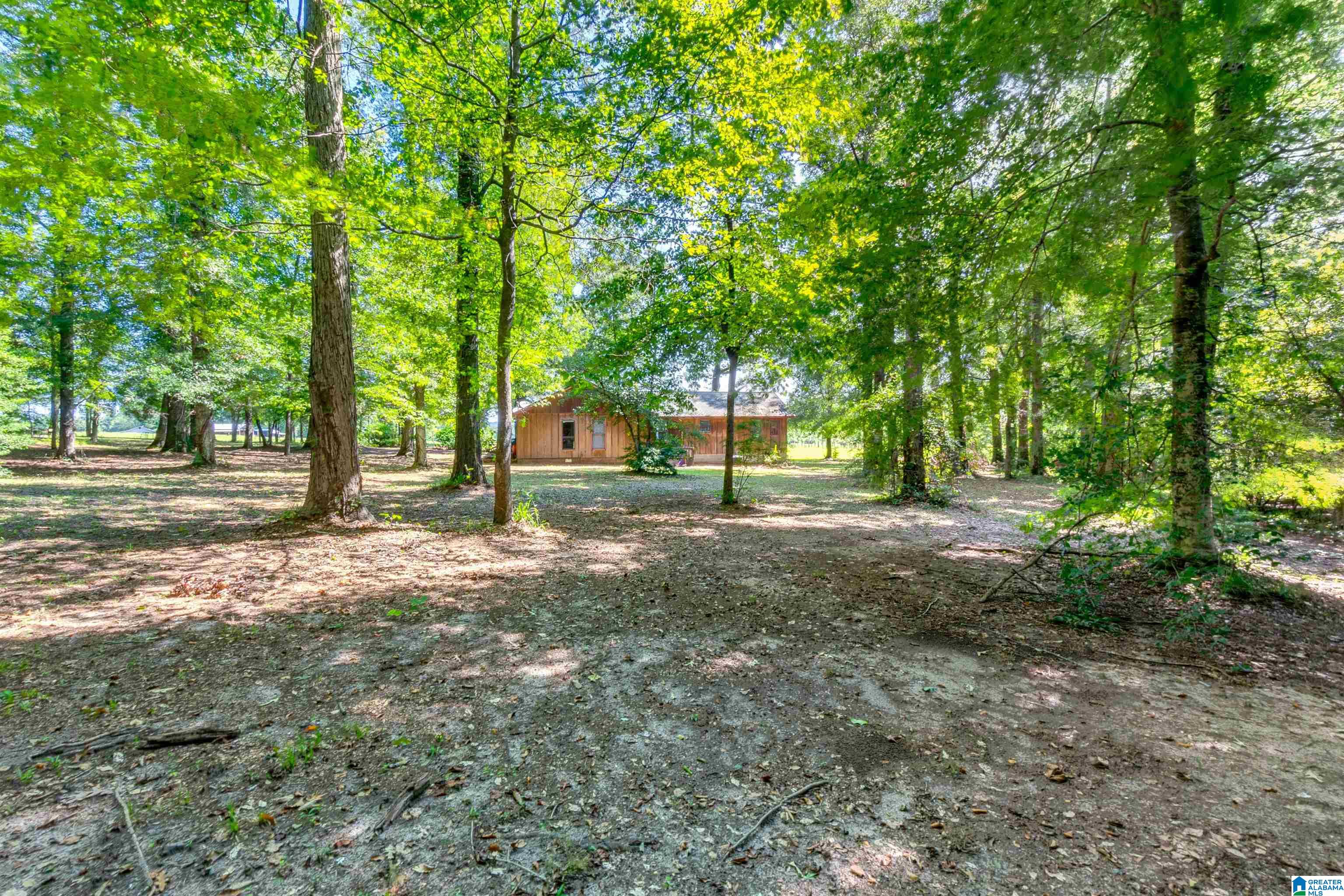 714 Pecan Road Plantersville, AL 36758 - Photo 37 of 49