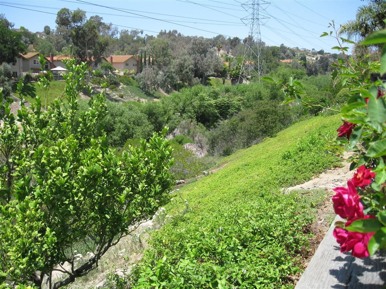 2587 Regent Road Carlsbad, CA 92010 - Photo 7 of 10