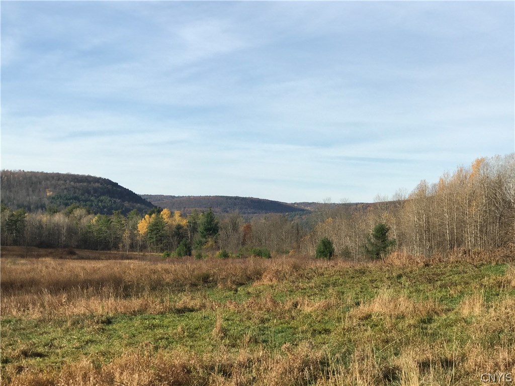 2311 Switzkill Road Berne, NY 12023 - Photo 1 of 1
