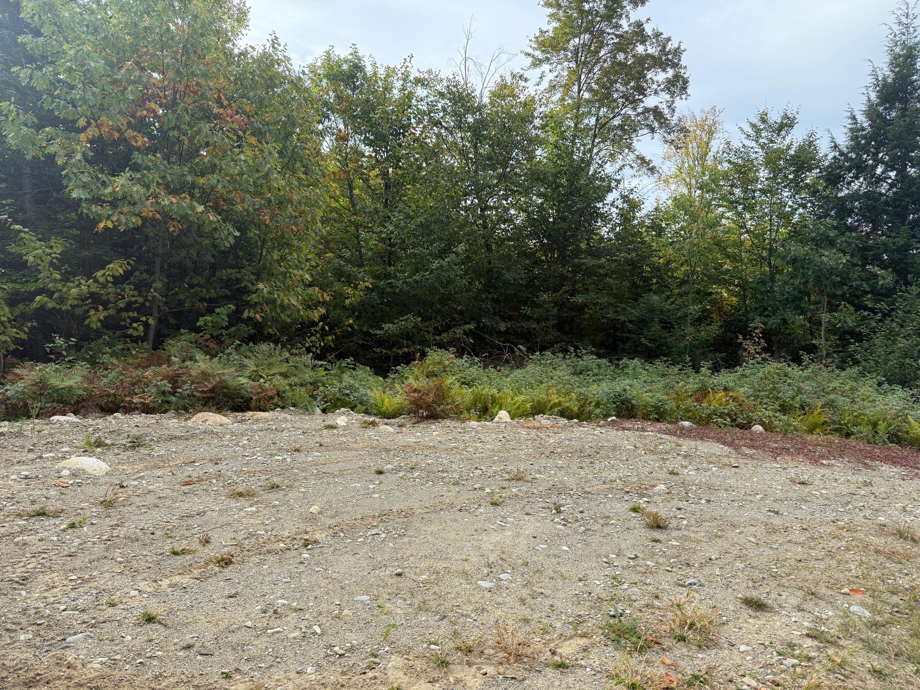 25-2 Sunset (eagle Ridge) Lane Kingfield, ME 04947 - Photo 7 of 8 IMG_1348