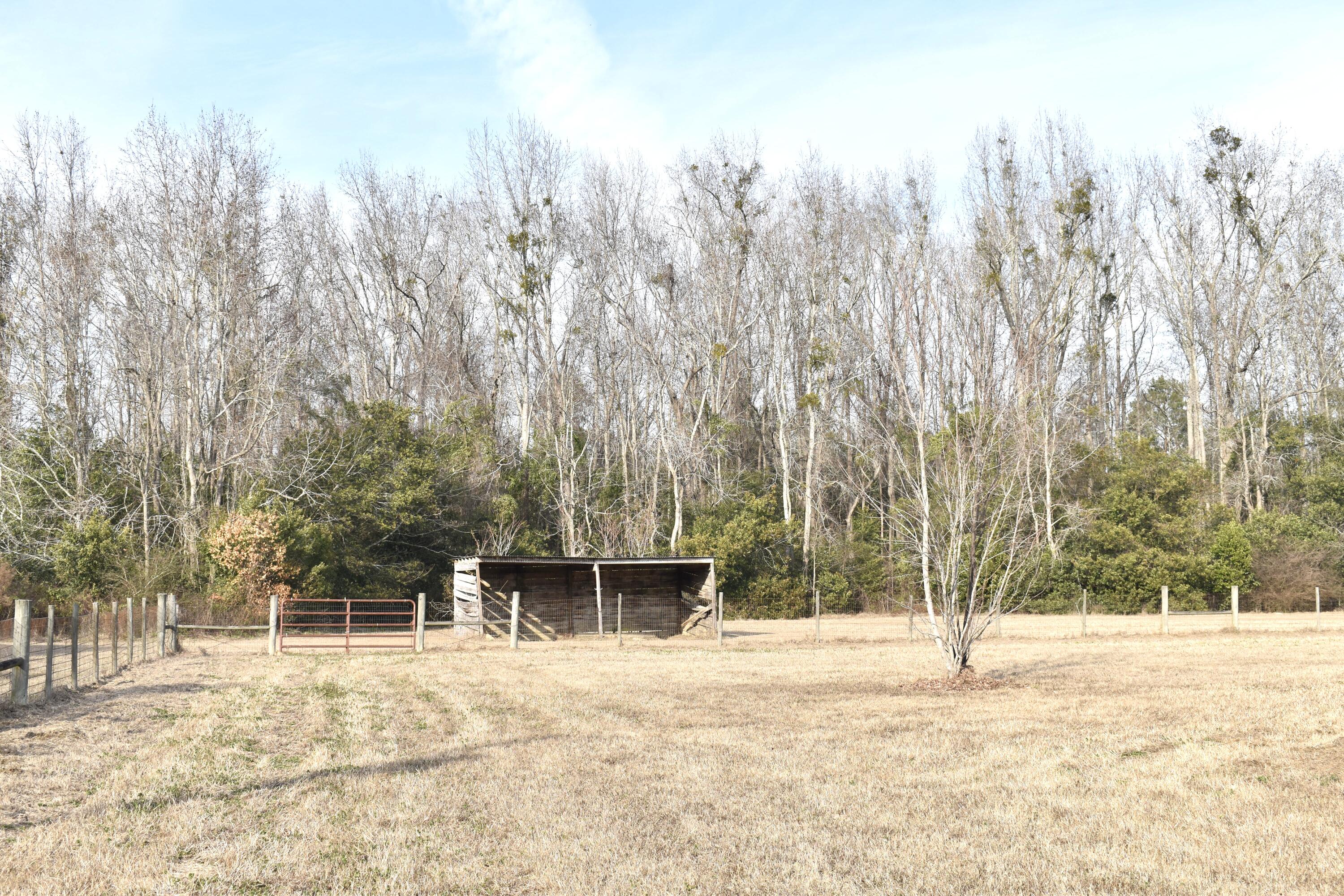 1646 Wells Road Summerton, SC 29148 - Photo 6 of 25 DSC_0057