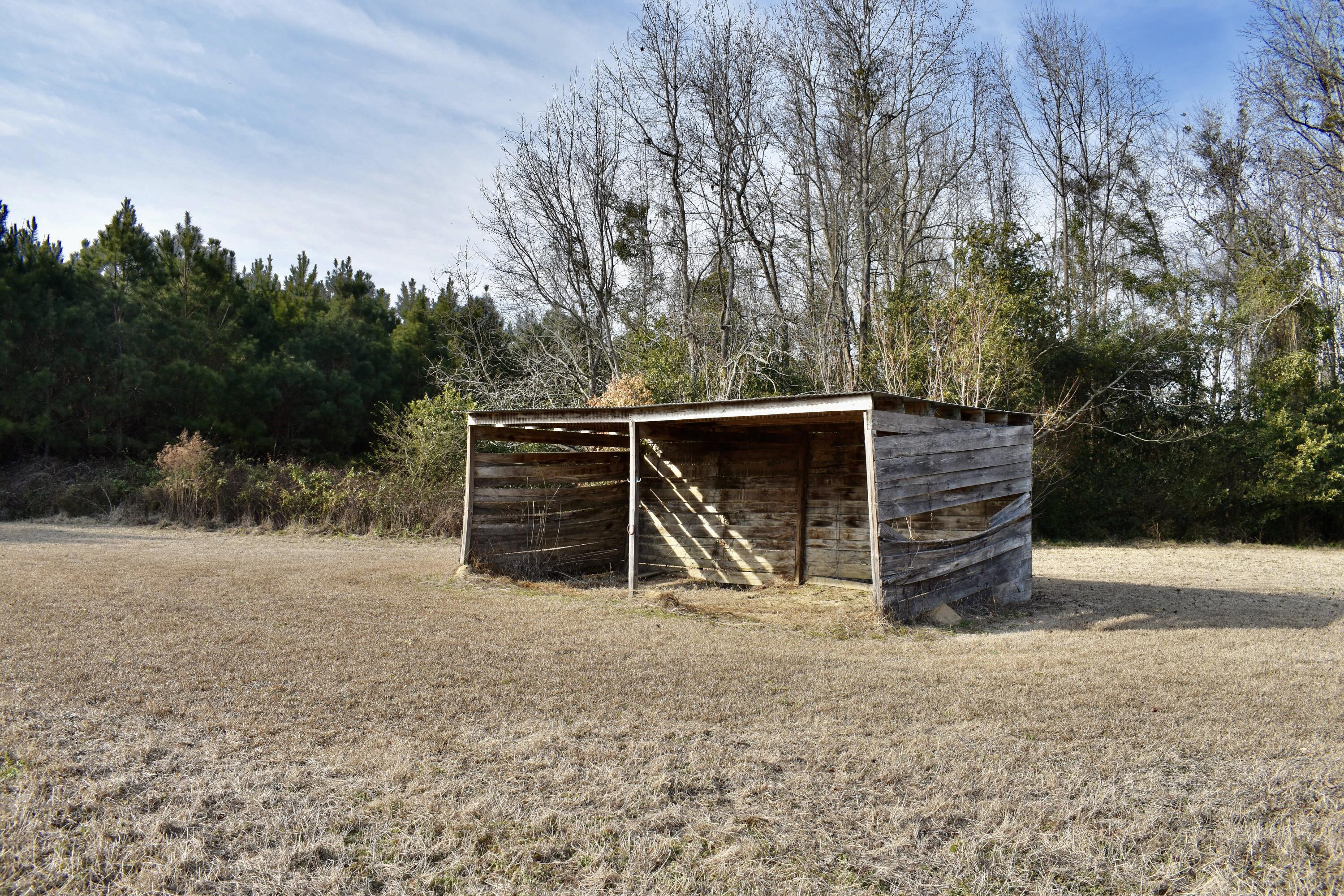 1646 Wells Road Summerton, SC 29148 - Photo 8 of 25 DSC_0054