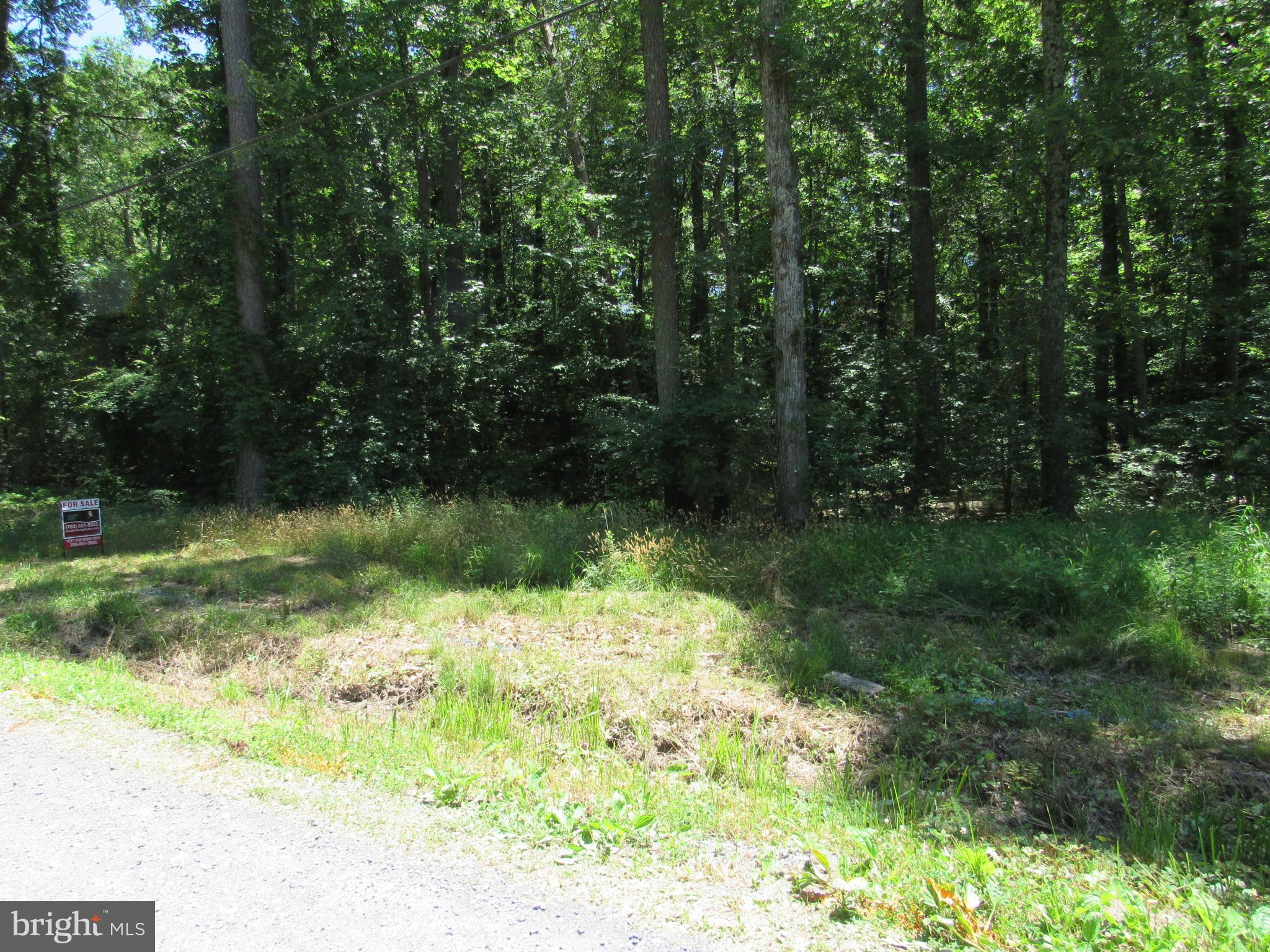 Lot 11 Holly Way Road Colonial Beach, VA 22443 - Photo 1 of 12 Gallery Image 1