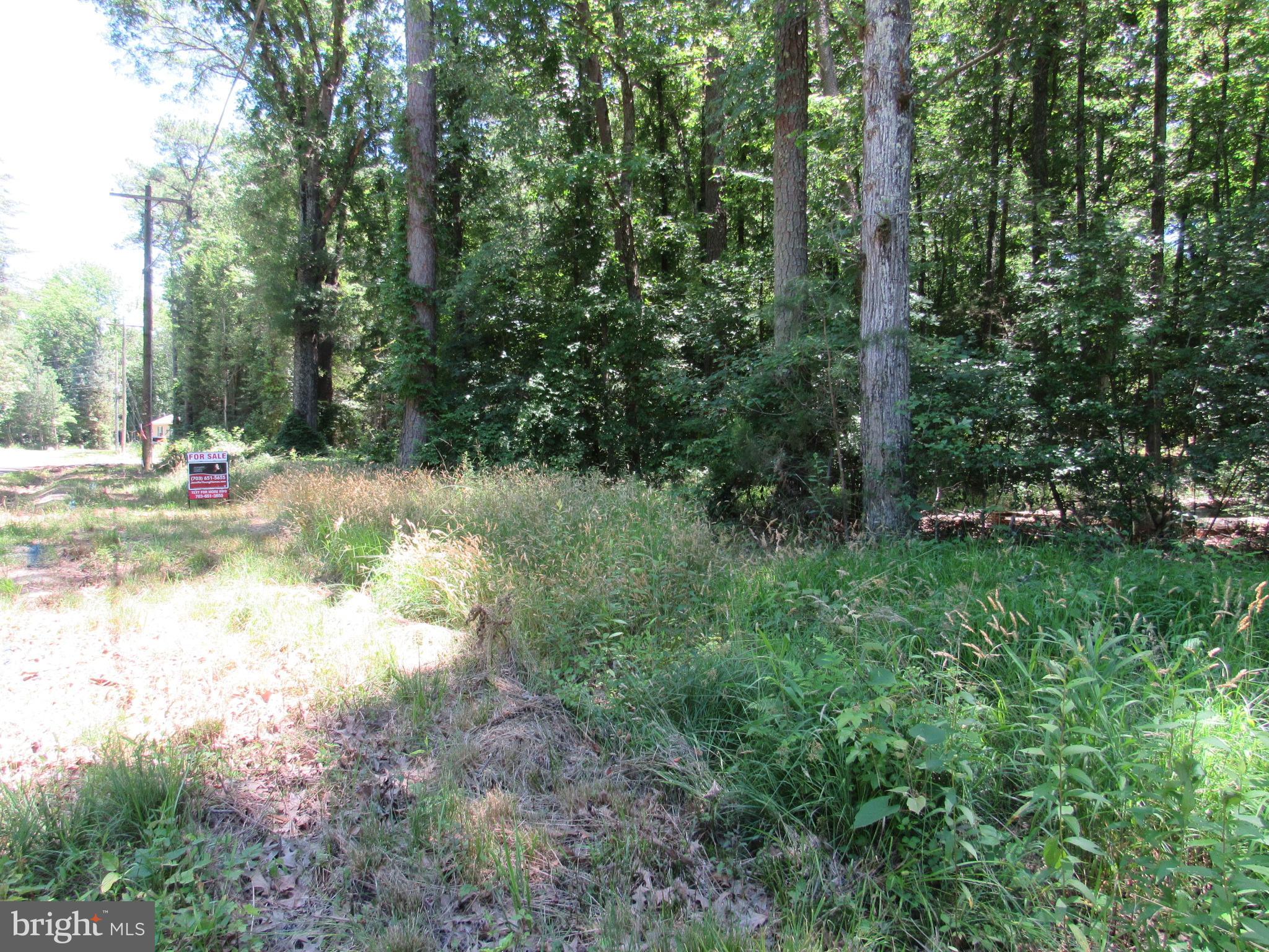 Lot 11 Holly Way Road Colonial Beach, VA 22443 - Photo 11 of 12 Gallery Image 11