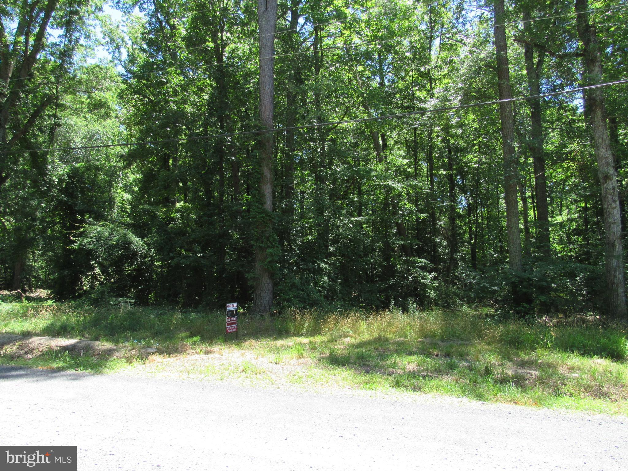 Lot 11 Holly Way Road Colonial Beach, VA 22443 - Photo 12 of 12 Gallery Image 12