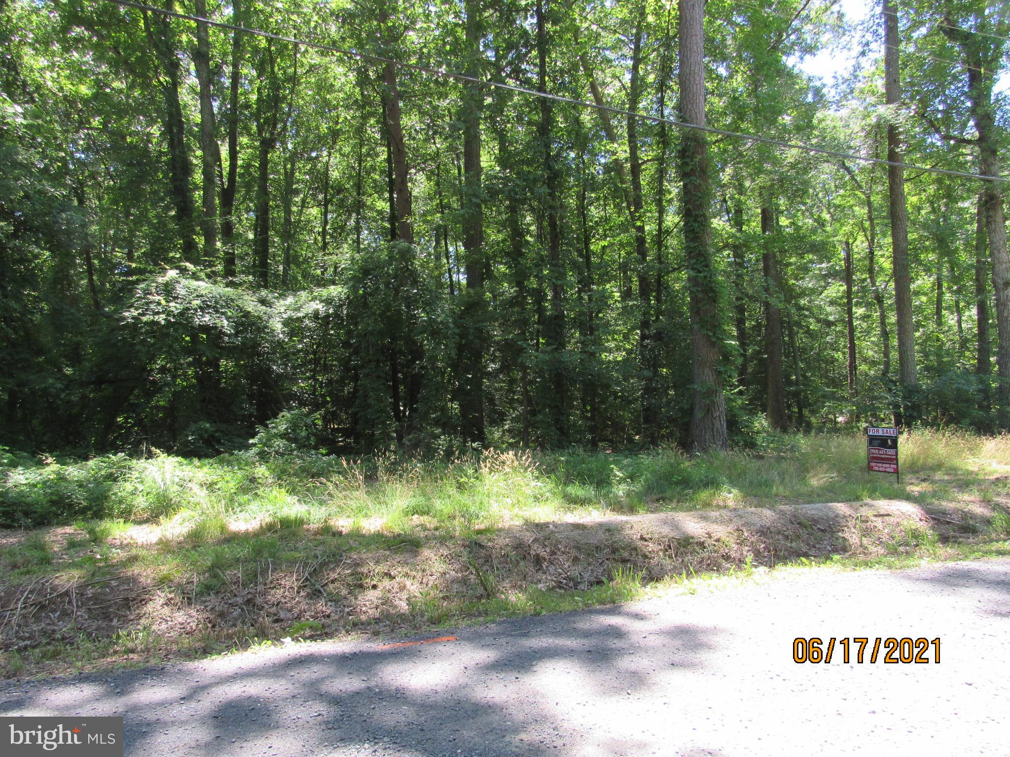 Lot 11 Holly Way Road Colonial Beach, VA 22443 - Photo 4 of 12 Gallery Image 4
