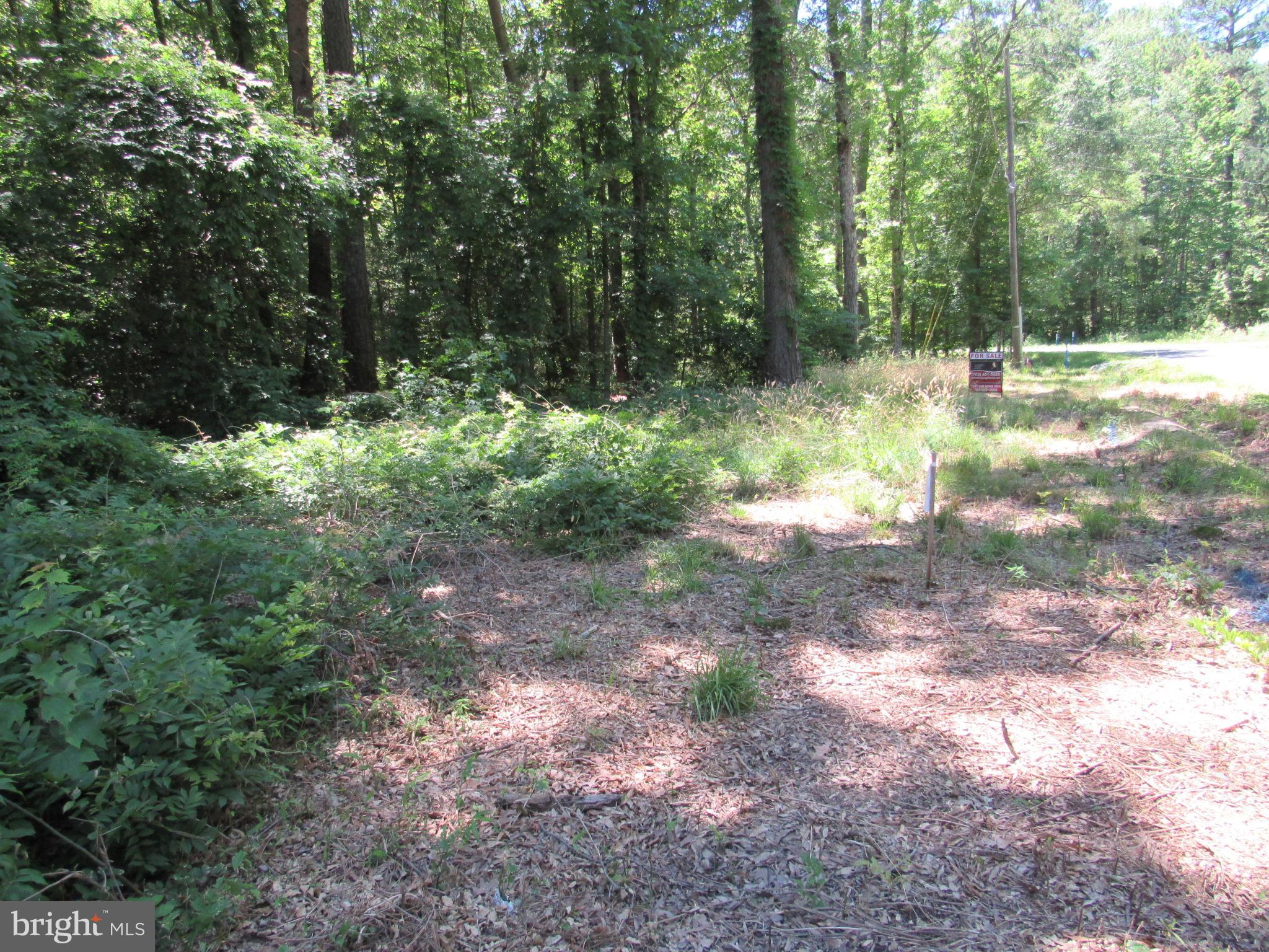 Lot 11 Holly Way Road Colonial Beach, VA 22443 - Photo 5 of 12 Gallery Image 5
