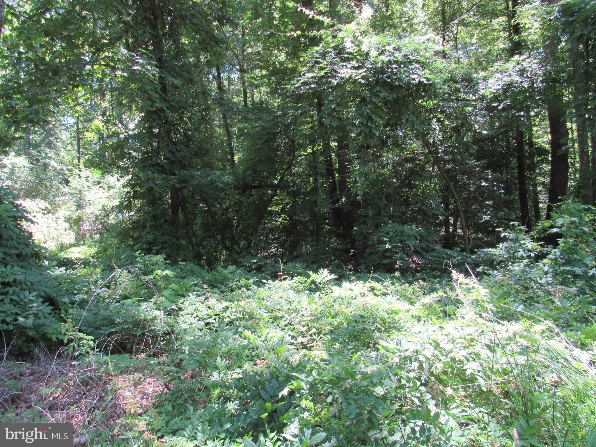 Lot 11 Holly Way Road Colonial Beach, VA 22443 - Photo 6 of 12 Gallery Image 6
