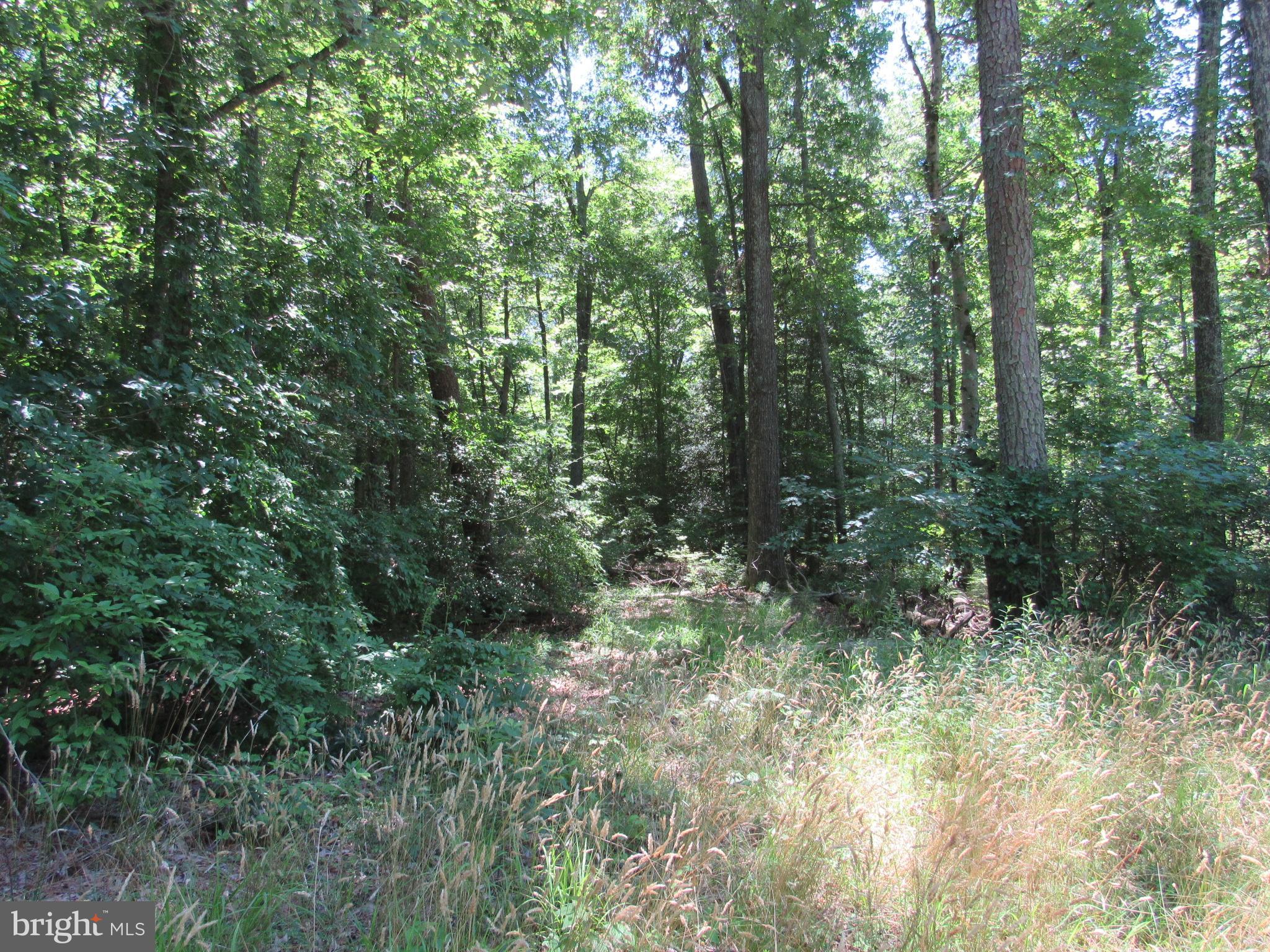 Lot 11 Holly Way Road Colonial Beach, VA 22443 - Photo 8 of 12 Gallery Image 8