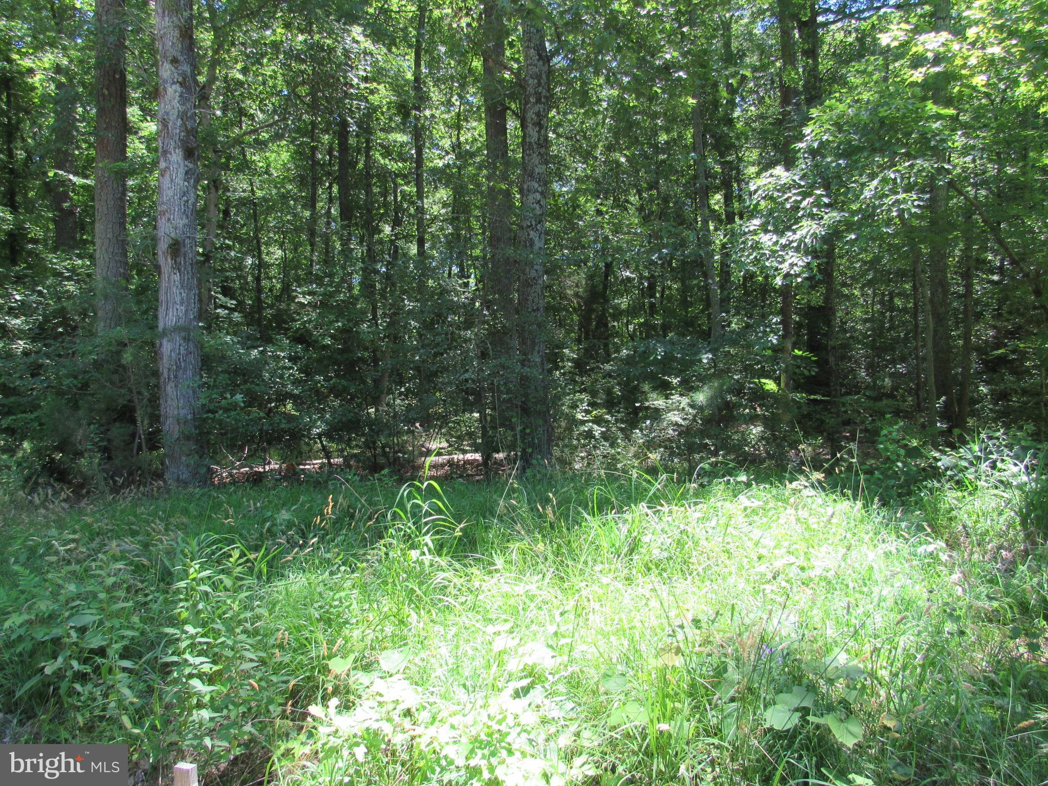 Lot 11 Holly Way Road Colonial Beach, VA 22443 - Photo 9 of 12 Gallery Image 9