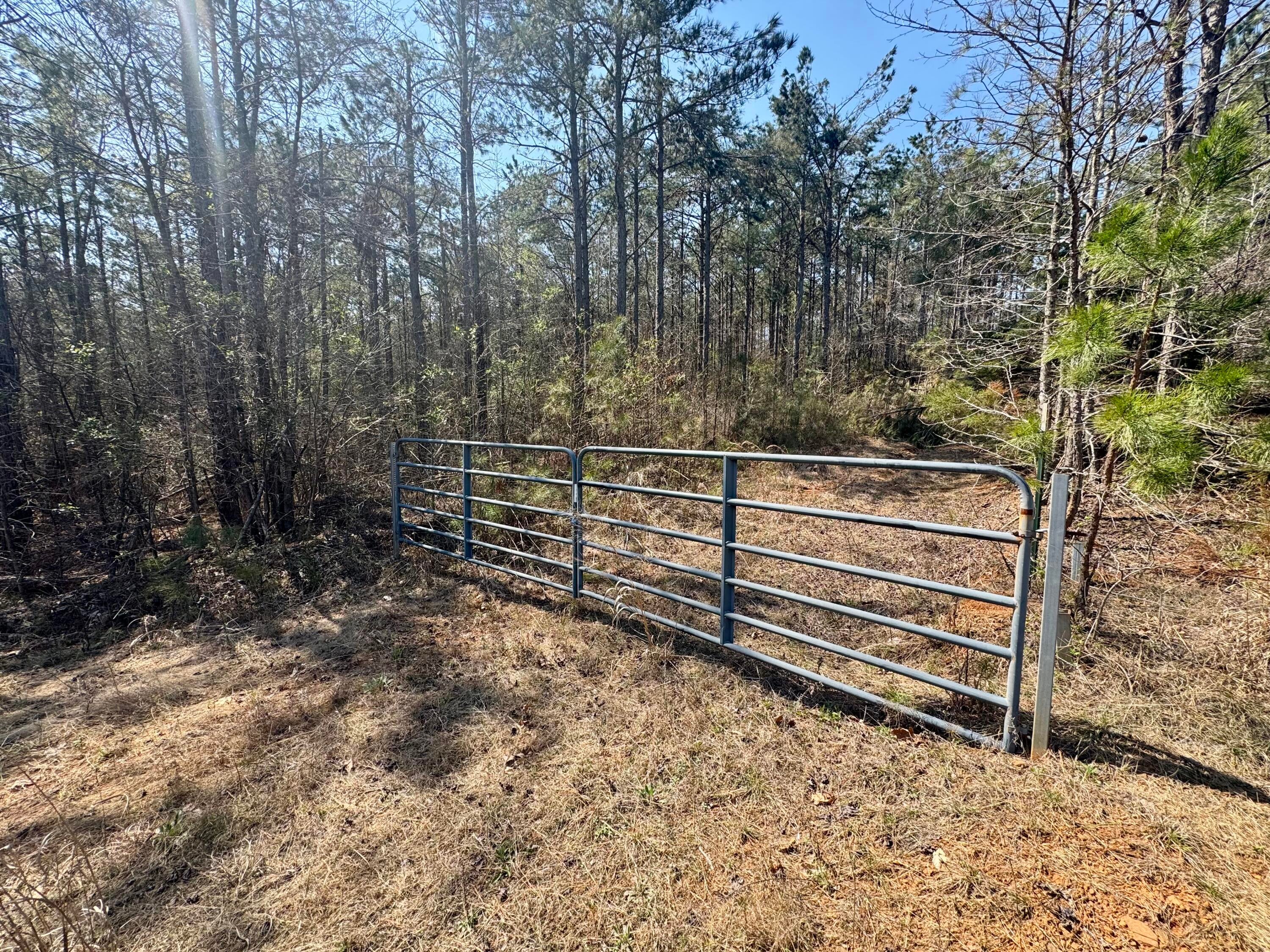 231 Rd Iuka Ms 38852 Cherokee, AL 35616 - Photo 3 of 20 Gallery Image 3
