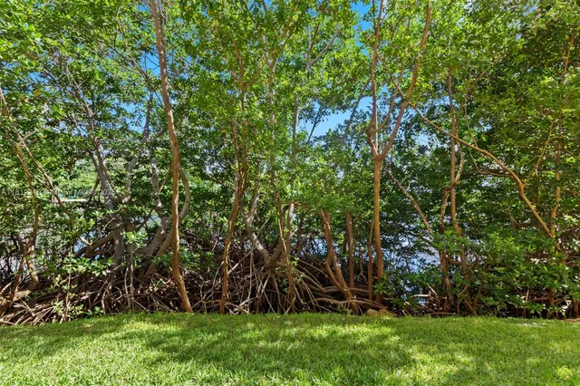 a living room with furniture window and wooden floor