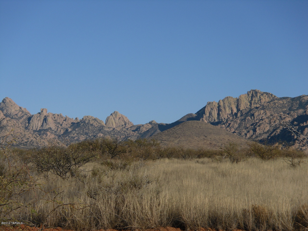 Tortoise Trail Street St. David, AZ 85630 - Photo 3 of 5