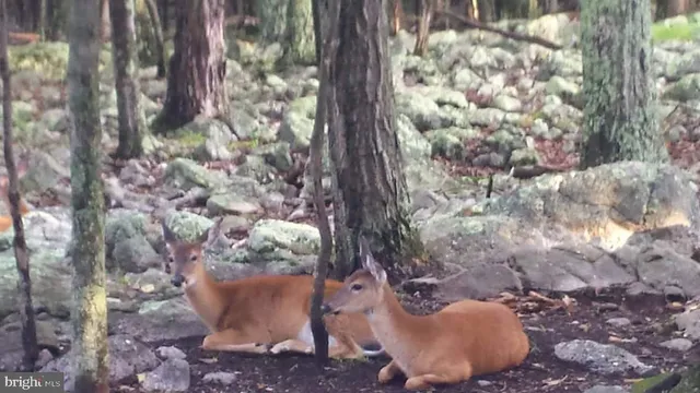 $624,900 | 248 Country Club Drive, Hazleton, PA 18202