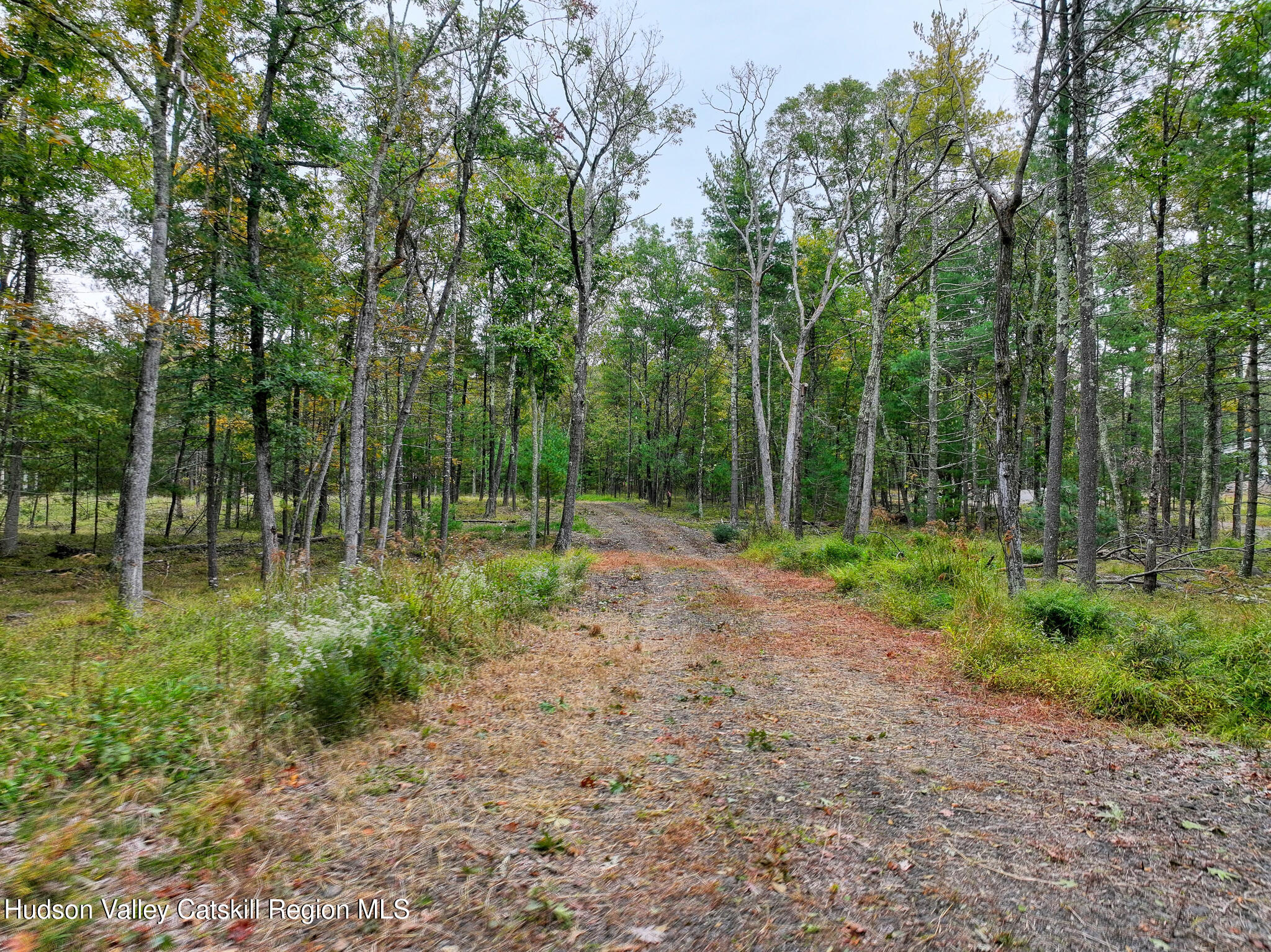 L1-9.100 Reilly Road Kingston, NY 12401 - Photo 7 of 28 00reilly v2-18