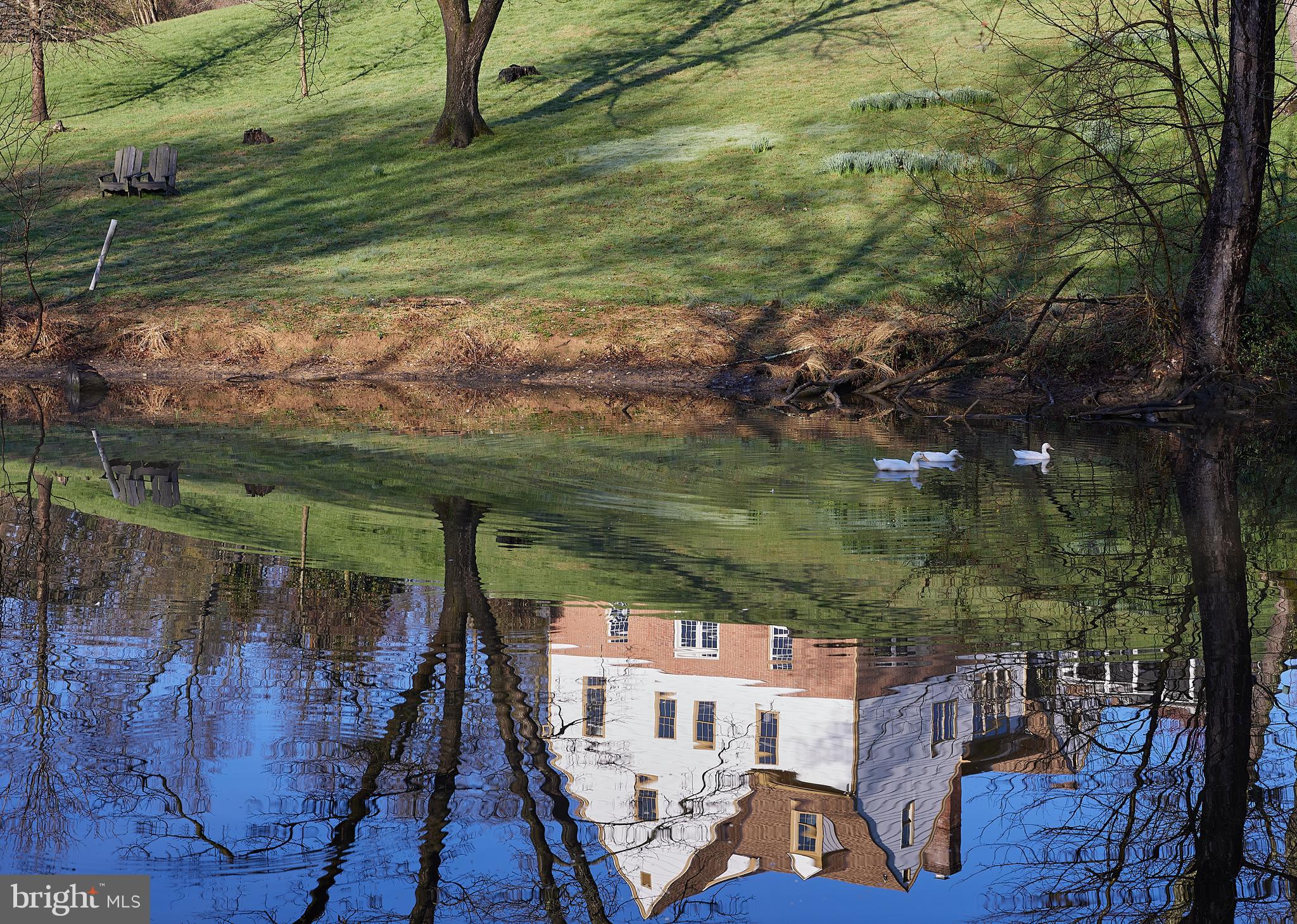 13426 Query Mill Road North Potomac, MD 20878 - Photo 35 of 43 Pond