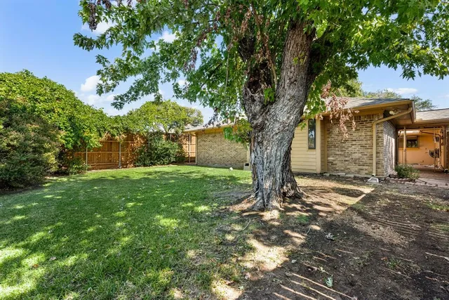 a view of a yard with plants and a large tree