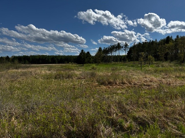 0 Granton Road Neillsville, WI 54456 - Photo 28 of 33