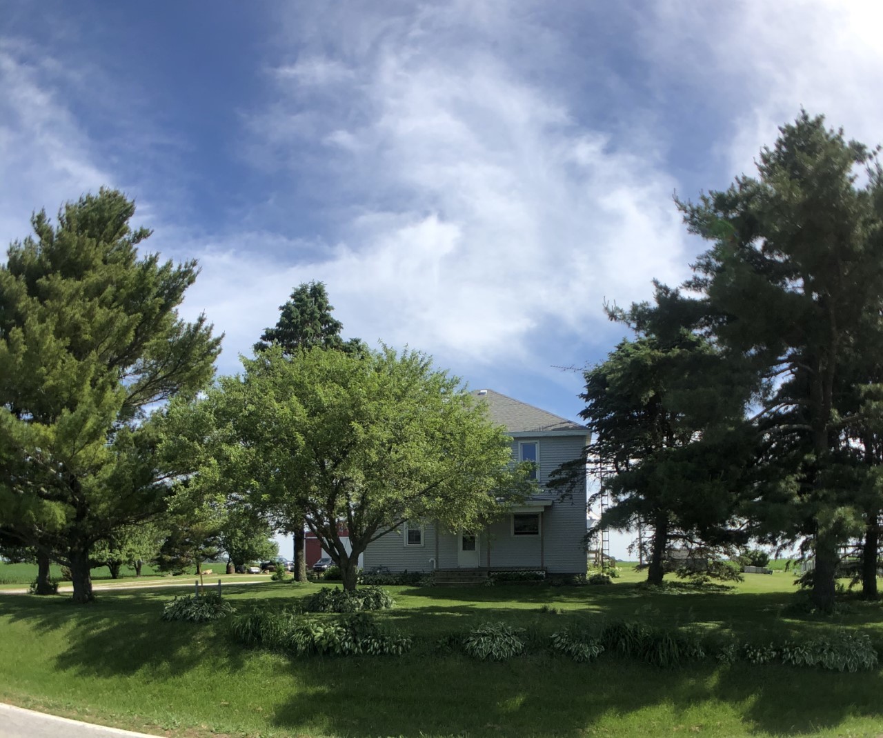 a view of a garden