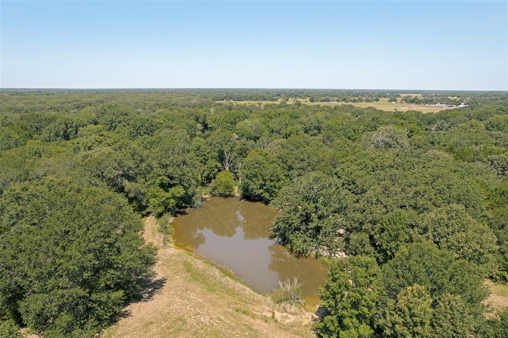 822 Private Road 7370 Point, TX 75472 - Photo 5 of 30 Private pond surrounded by mature trees