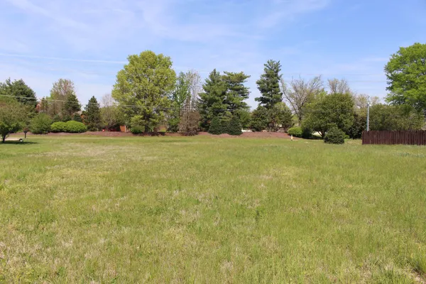 a view of yard with trees in the background