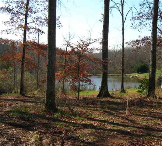 590 Franklin Finley Road Easley, SC 29640 - Photo 14 of 25
