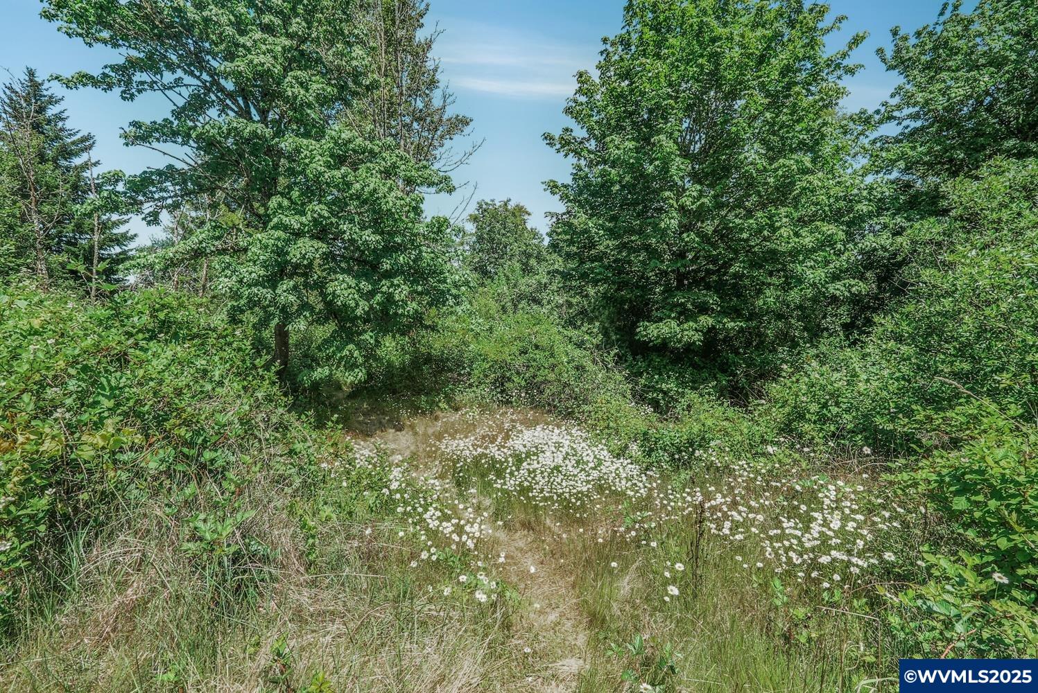 0 Gooseneck Road Sheridan, OR 97378 - Photo 17 of 39