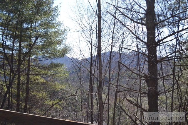 358 Carl Giles Road Boone, NC 28607 - Photo 18 of 25 Gallery Image 18