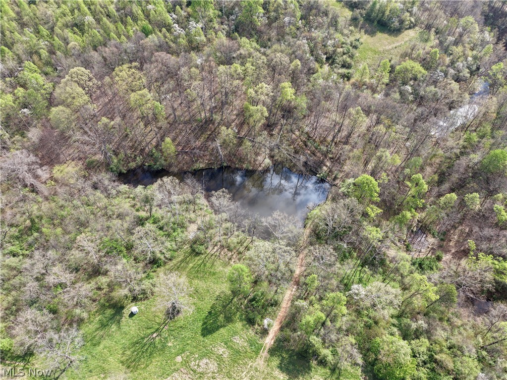 0 Harrons Ridge Road Dexter City, OH 45727 - Photo 8 of 29
