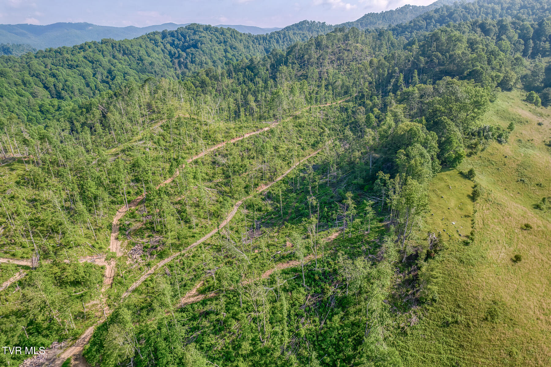 0 Antioch Road Mountain City, TN 37683 - Photo 11 of 28 2007 Antioch Rd-8