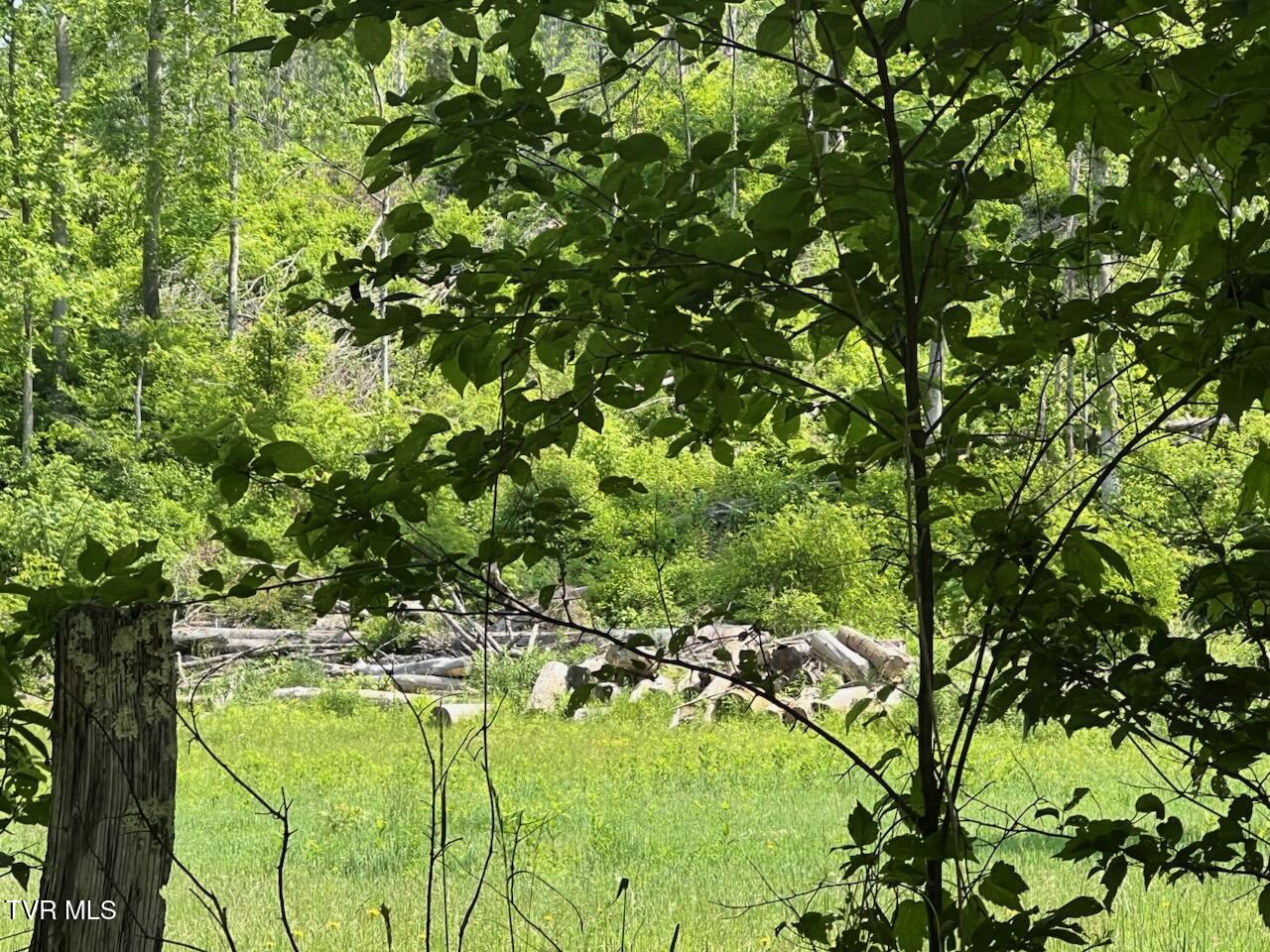 0 Antioch Road Mountain City, TN 37683 - Photo 15 of 28 IMG_20250602_142708