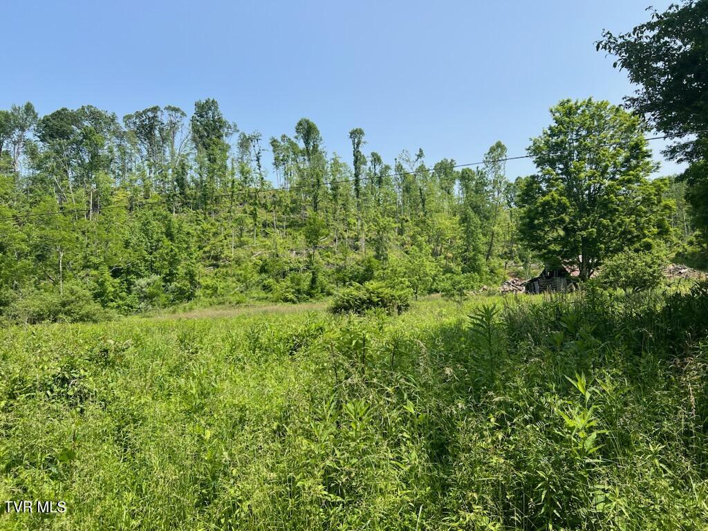 0 Antioch Road Mountain City, TN 37683 - Photo 16 of 28 IMG_20250602_142713