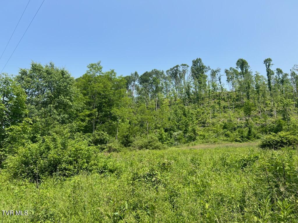 0 Antioch Road Mountain City, TN 37683 - Photo 17 of 28 IMG_20250602_142718