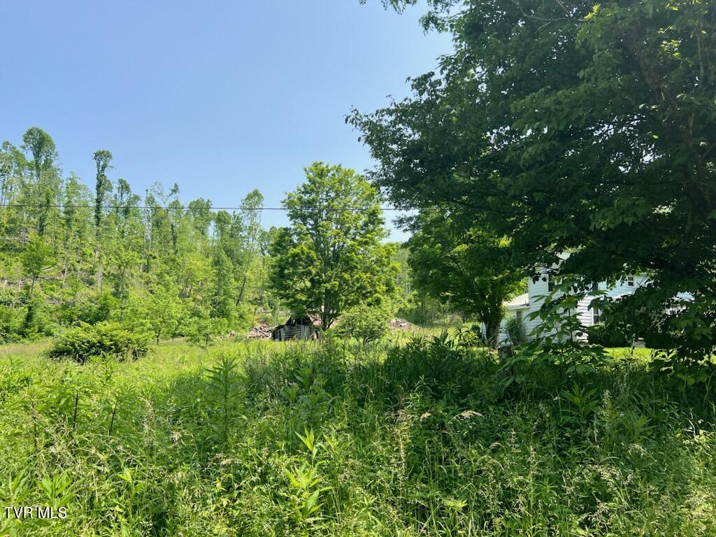 0 Antioch Road Mountain City, TN 37683 - Photo 18 of 28 IMG_20250602_142724