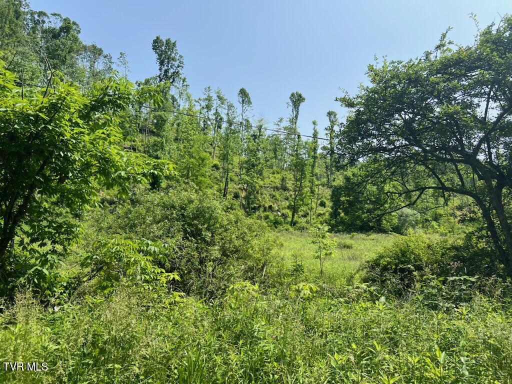 0 Antioch Road Mountain City, TN 37683 - Photo 19 of 28 IMG_20250602_142730