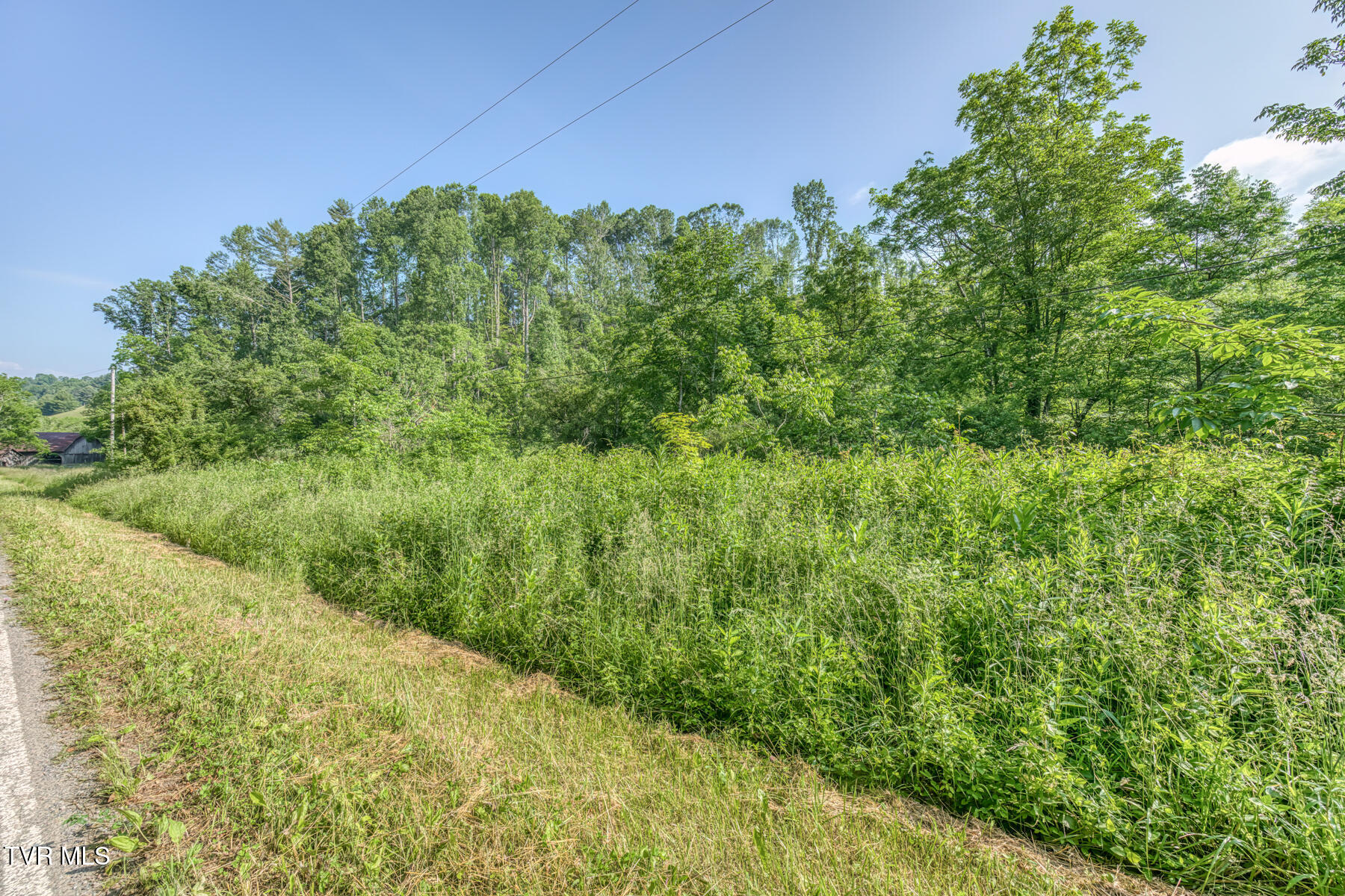 0 Antioch Road Mountain City, TN 37683 - Photo 20 of 28 2007 Antioch Rd-13