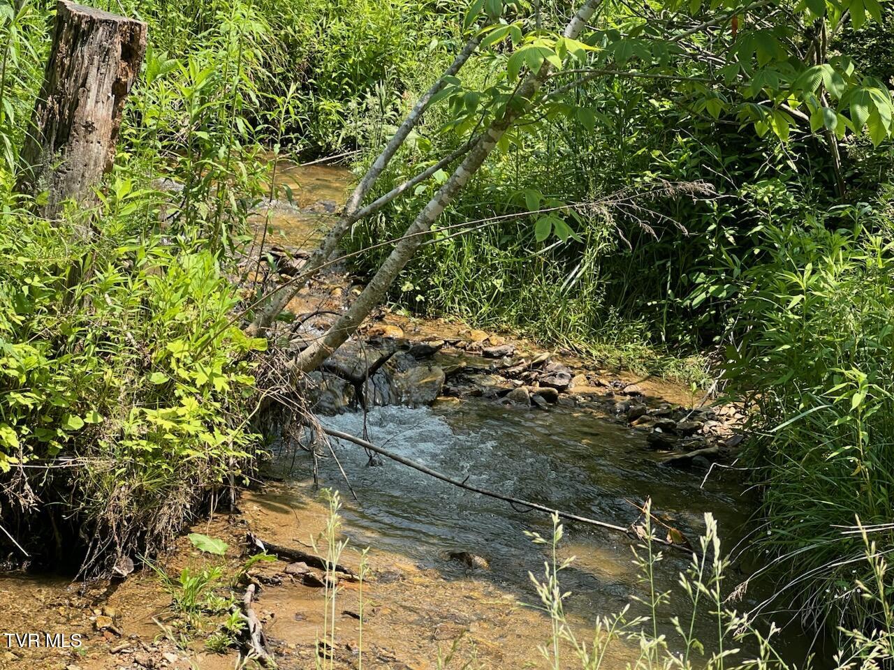 0 Antioch Road Mountain City, TN 37683 - Photo 2 of 28 IMG_20250602_142736