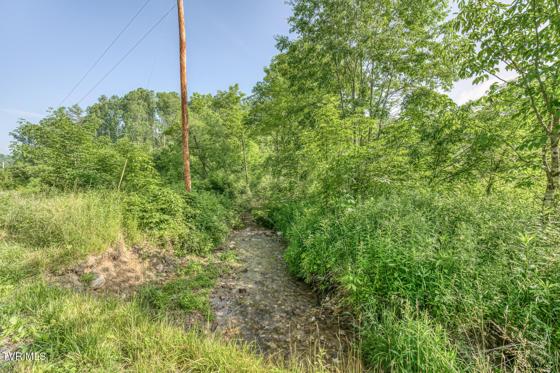 0 Antioch Road Mountain City, TN 37683 - Photo 21 of 28 2007 Antioch Rd-14