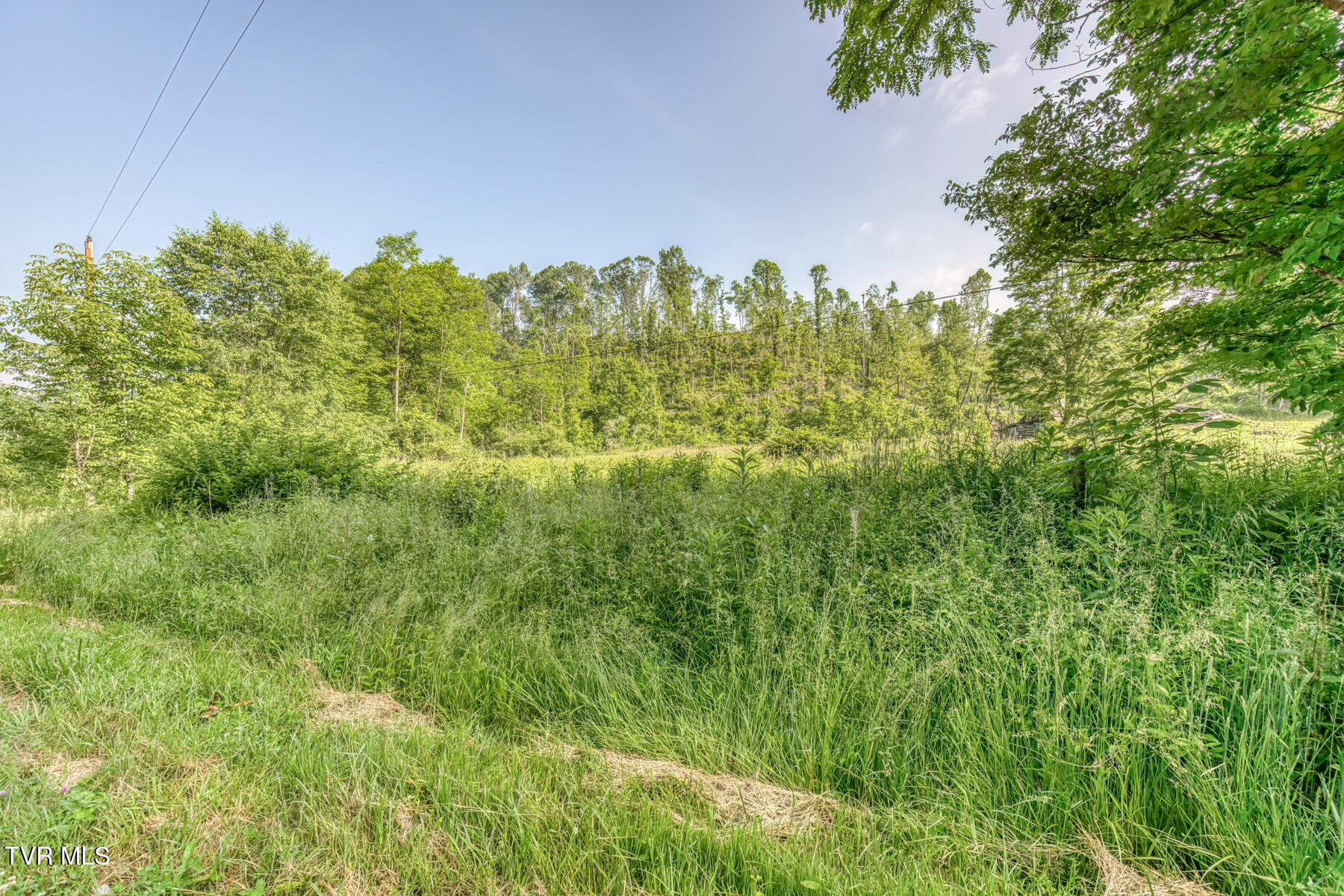 0 Antioch Road Mountain City, TN 37683 - Photo 22 of 28 2007 Antioch Rd-15