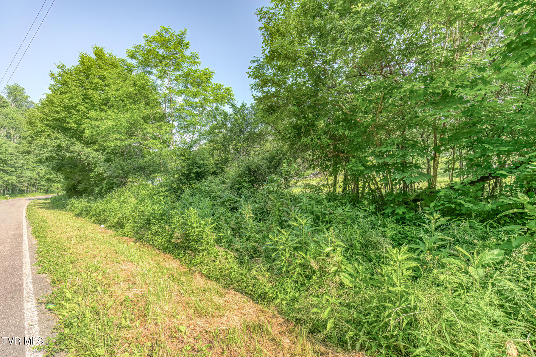 0 Antioch Road Mountain City, TN 37683 - Photo 23 of 28 2007 Antioch Rd-16