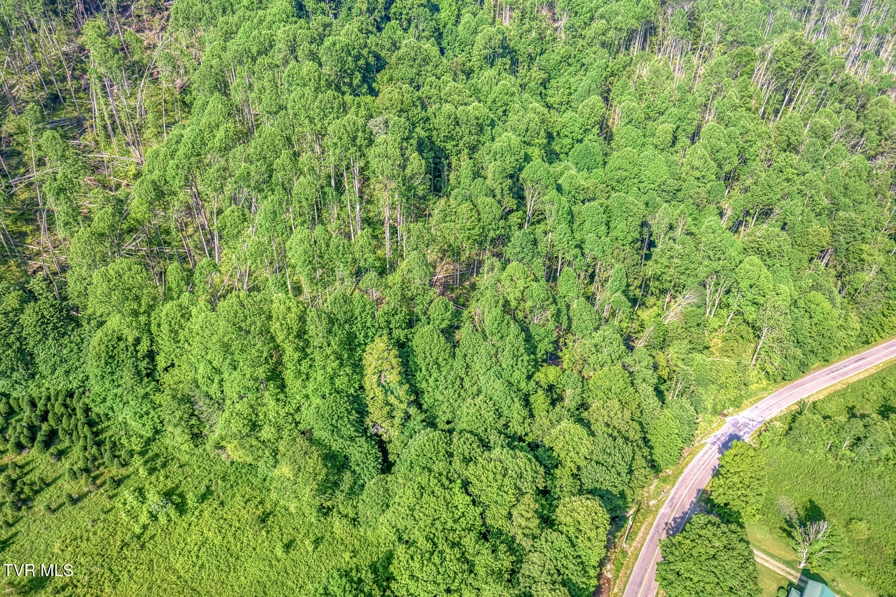 0 Antioch Road Mountain City, TN 37683 - Photo 24 of 28 2007 Antioch Rd-17