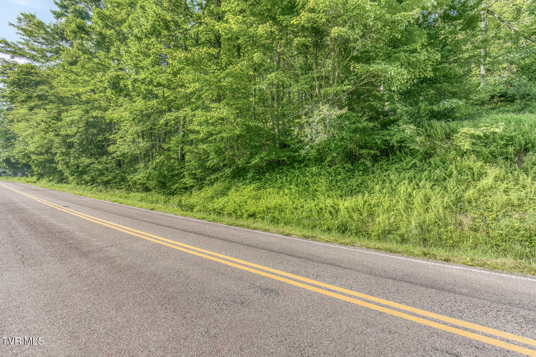 0 Antioch Road Mountain City, TN 37683 - Photo 25 of 28 2007 Antioch Rd-18