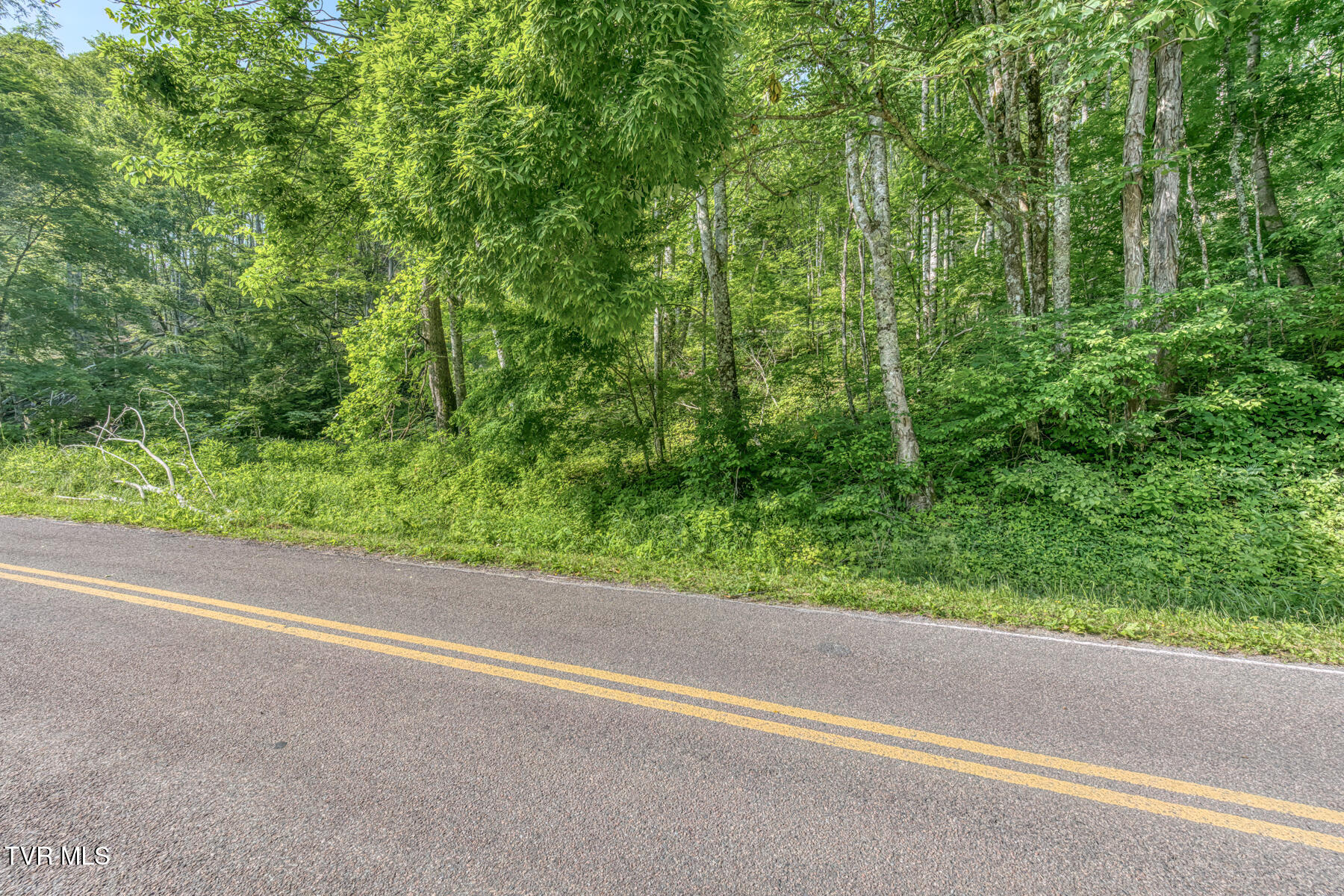 0 Antioch Road Mountain City, TN 37683 - Photo 26 of 28 2007 Antioch Rd-19