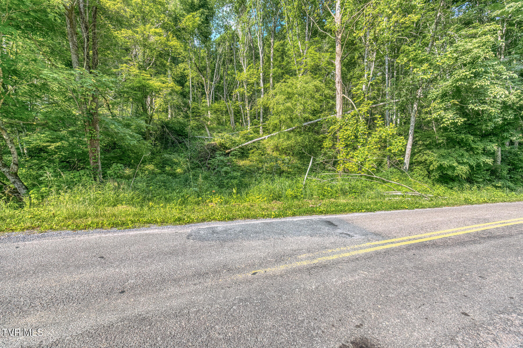 0 Antioch Road Mountain City, TN 37683 - Photo 27 of 28 2007 Antioch Rd-20