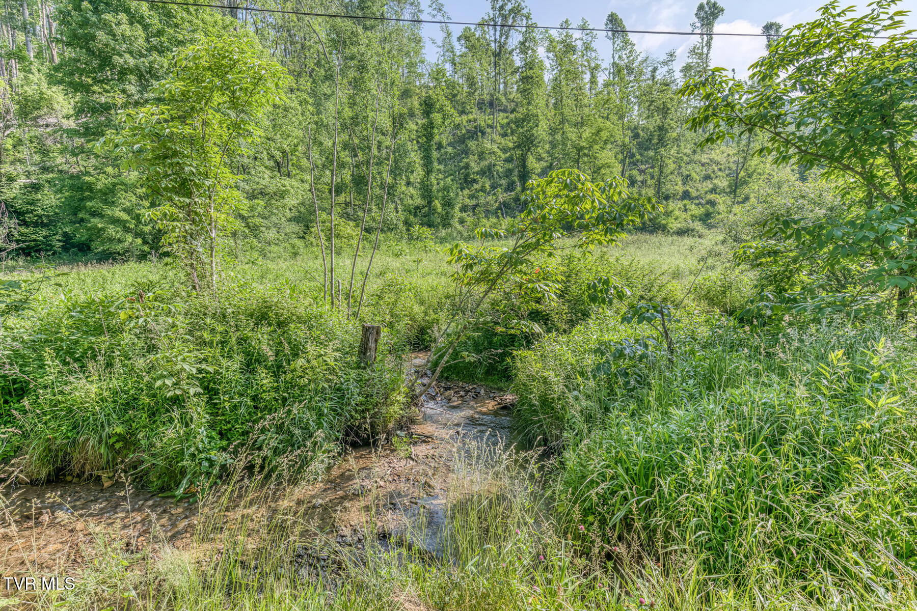 0 Antioch Road Mountain City, TN 37683 - Photo 3 of 28 2007 Antioch Rd-12