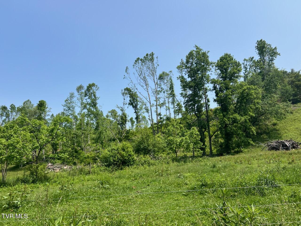 0 Antioch Road Mountain City, TN 37683 - Photo 4 of 28 IMG_20250602_142703