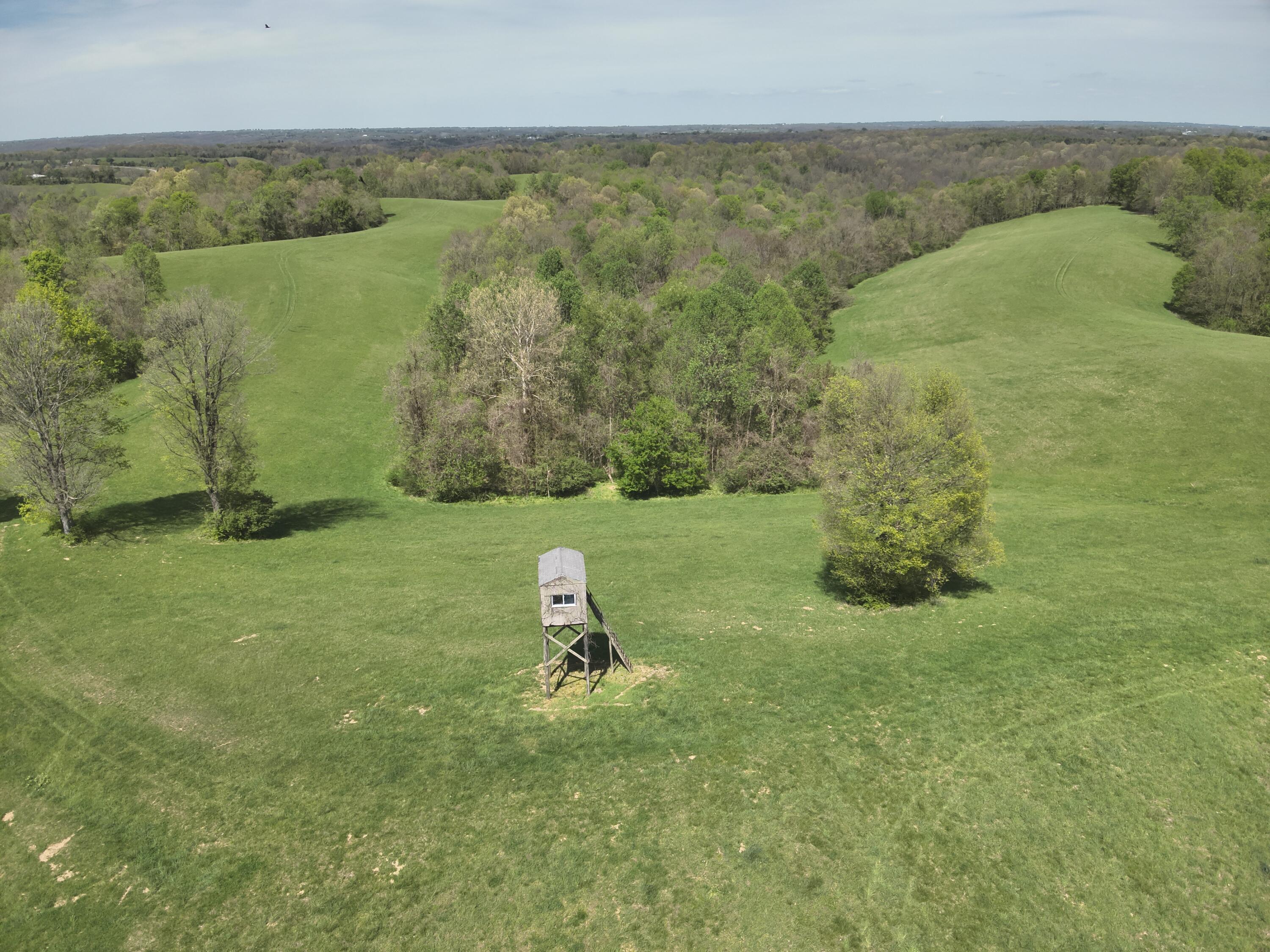 2451 Sardis Road Mount Olivet, KY 41064 - Photo 3 of 42