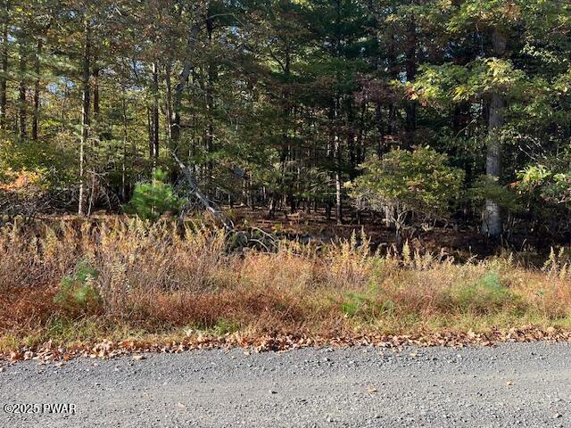 Lot 247 Squirrel Road Dingmans Ferry, PA 18328 - Photo 4 of 10