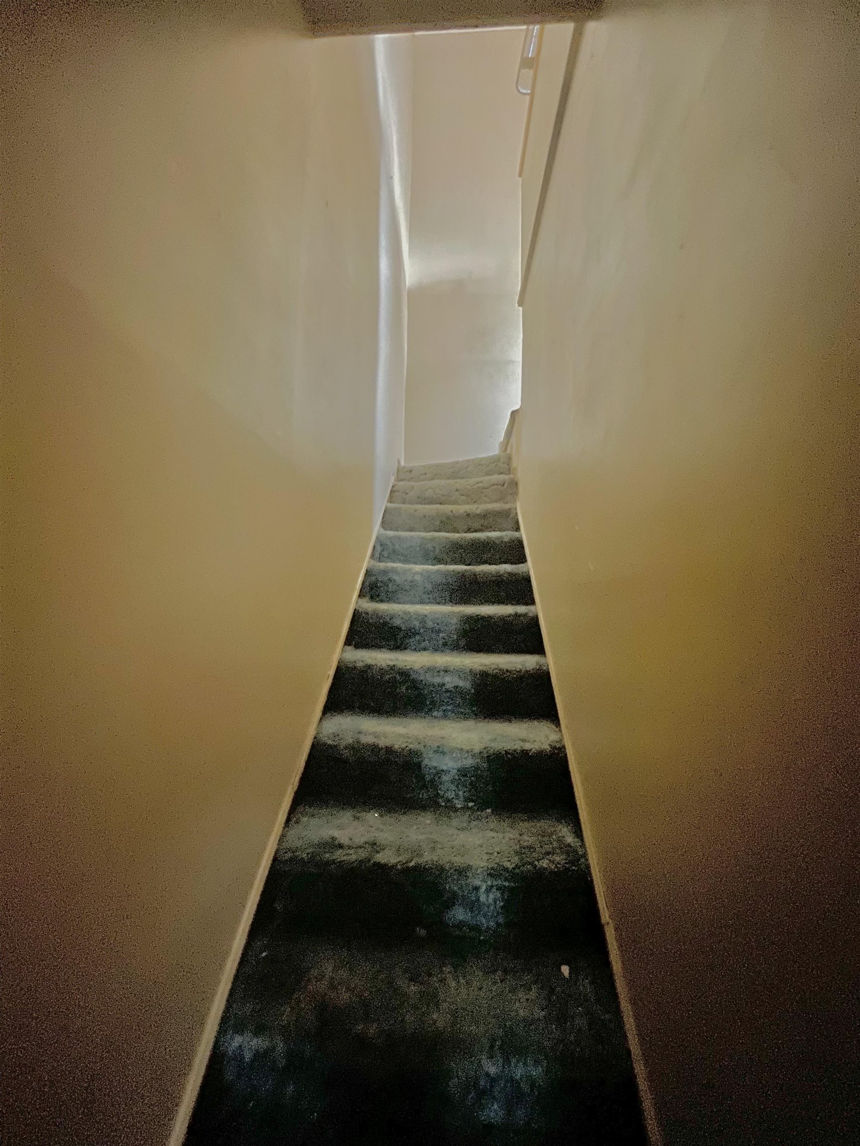 213 Gin Circle Buffalo, SC 29321 - Photo 14 of 20 Gallery Image 14