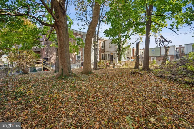 a tree in the garden of the house